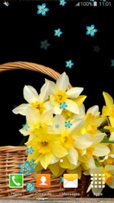 Play Daffodils Live Wallpapers 