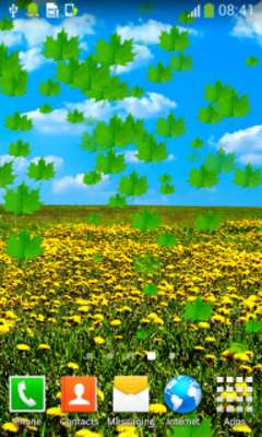 Play Dandelions Live Wallpapers 