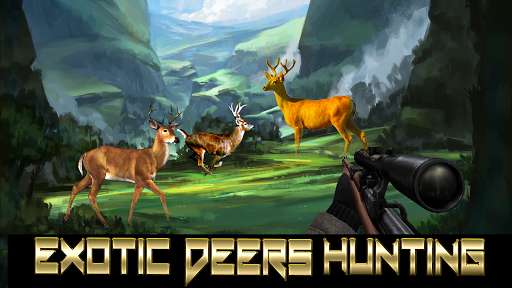 Play Deer Hunting Simulator 2016 