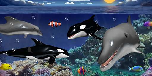Play APK Dolphins and orcas wallpaper  and enjoy Dolphins and orcas wallpaper with UptoPlay com.cosmicmobile.lw.dolphins_and_orcas