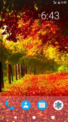 Play Fallen Leaves HD Wallpapers 
