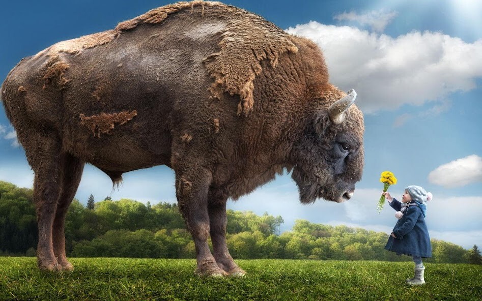 Play Fantasy Jigsaw Puzzles Play Fantasy Jigsaw Puzzles