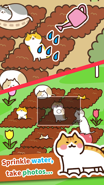 Play Field of Cats 