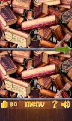 Play Find 5 Differences 2 