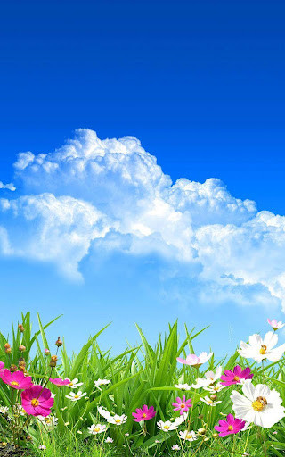 Play APK Flower Spring Live Wallpaper  and enjoy Flower Spring Live Wallpaper with UptoPlay com.GalaxyS5SpringLWPPRO