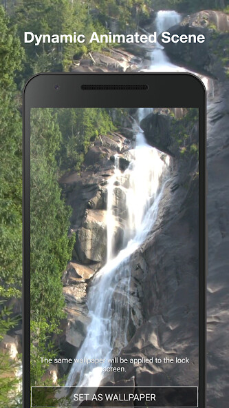 Play Forest Live Wallpaper 