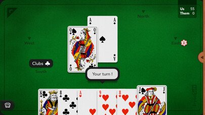 Play French Belote 