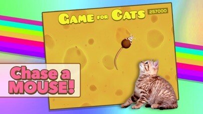 Play APK Game for Cats  and enjoy Game for Cats with UptoPlay com.KonstantinTrushkov.GameForCats