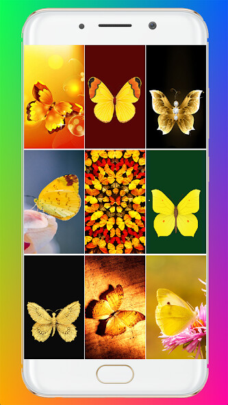 Play Golden Butterfly Wallpaper Play Golden Butterfly Wallpaper