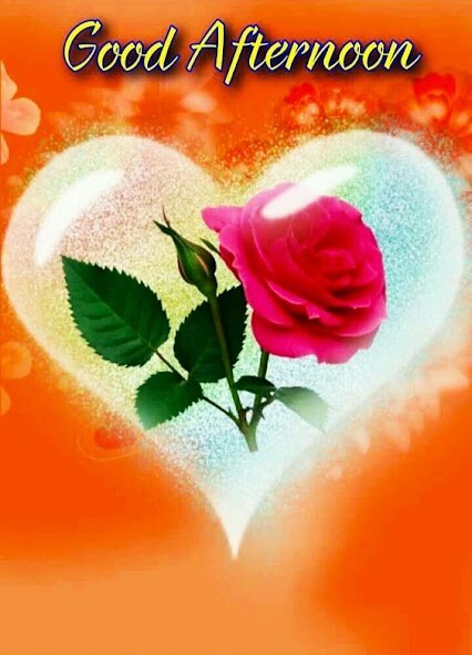 Play APK Good Morning Afternoon Evening Night and enjoy Good Morning Afternoon Evening Night with UptoPlay com.KTConnect.GoodMorningGoodNight Play APK Good Morning Afternoon Evening Night and enjoy Good Morning Afternoon Evening Night with UptoPlay com.KTConnect.GoodMorningGoodNight