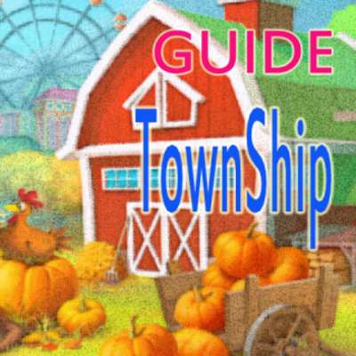 Play Guide TownShip 