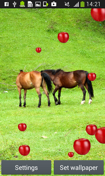Play Horses Live Wallpapers Play Horses Live Wallpapers