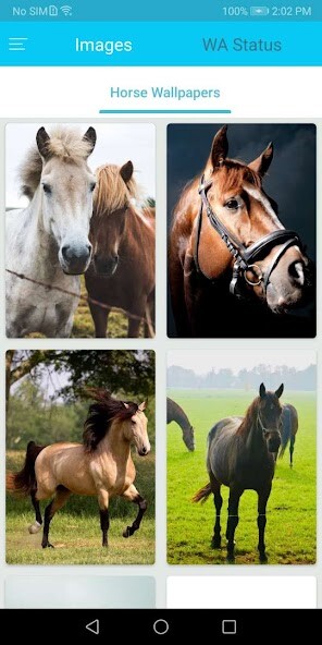 Play Horse wallpaper 