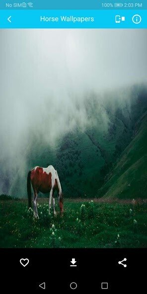 Play Horse wallpaper 