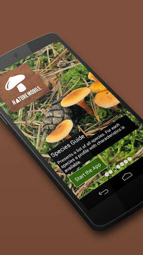 Play APK iKnow Mushrooms 2 LITE  and enjoy iKnow Mushrooms 2 LITE with UptoPlay org.naturemobile.mushroomsfree
