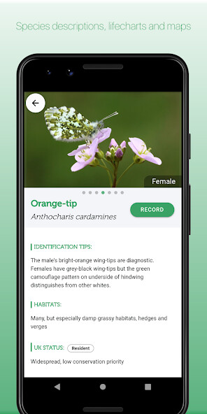 Play APK iRecord Butterflies  and enjoy iRecord Butterflies with UptoPlay com.natural_apptitude.butterfly