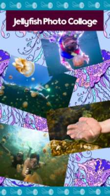Play Jellyfish Photo Collage 
