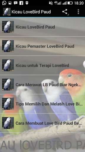 Play APK Kicau-Kicau Lovebird Paud  and enjoy Kicau-Kicau Lovebird Paud with UptoPlay com.tidut.kicaulovebirdpaud