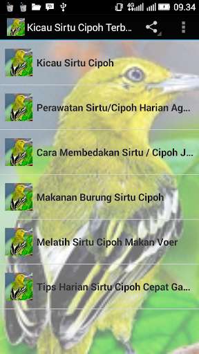 Play APK Kicau Sirtu Cipoh Terbaru  and enjoy Kicau Sirtu Cipoh Terbaru with UptoPlay com.tidut.kicausirtucipohterbaru