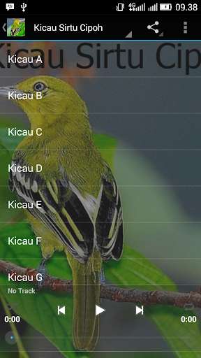 Play APK Kicau Sirtu Cipoh Terbaru  and enjoy Kicau Sirtu Cipoh Terbaru with UptoPlay com.tidut.kicausirtucipohterbaru