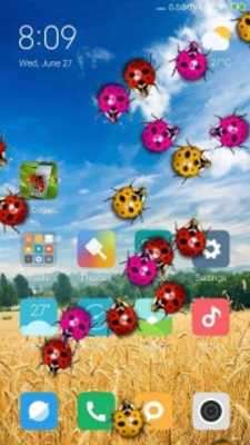Play Ladybug in phone prank Play Ladybug in phone prank