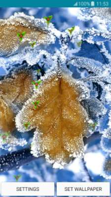 Play Live Wallpapers – Winter 