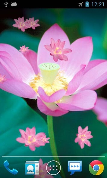 Play Lotus Live Wallpaper 