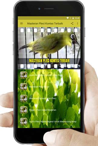 Play APK Masteran Pleci Kontes Terbaik and enjoy Masteran Pleci Kontes Terbaik with UptoPlay com.putusungkem.pleci.kontes.masteran.dahsyat Play APK Masteran Pleci Kontes Terbaik and enjoy Masteran Pleci Kontes Terbaik with UptoPlay com.putusungkem.pleci.kontes.masteran.dahsyat