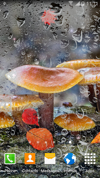 Play Mushrooms Live Wallpaper 