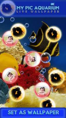Play My Pic Aquarium Live Wallpaper 