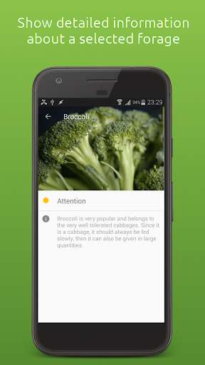 Play APK My Rabbit Feeding Guide  and enjoy My Rabbit Feeding Guide with UptoPlay org.kendix.foodlex_rabbit