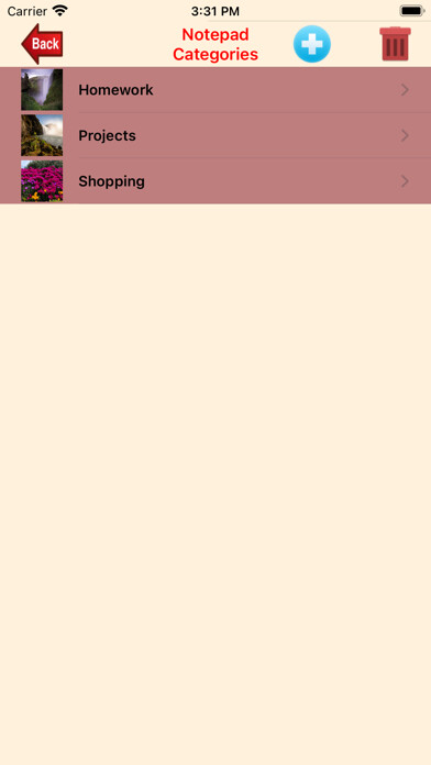 Play Notepad Pro Play Notepad Pro