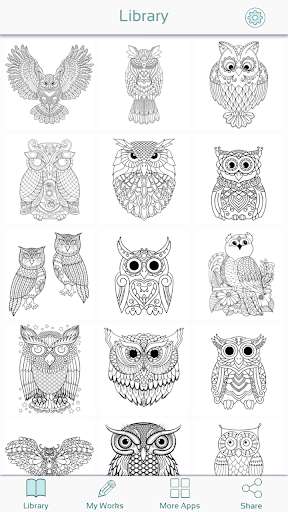 Play owl coloring book 