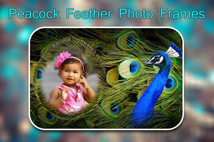 Play Peacock Feather Photo Frames 