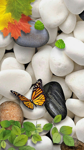 Play Photo In Water Live Wallpaper 