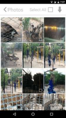 Play Photos Downloader for Facebook 