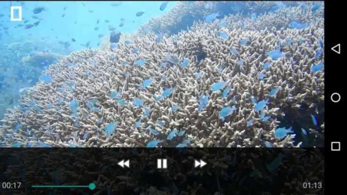 Play Play Video - Movie Player Play Play Video - Movie Player