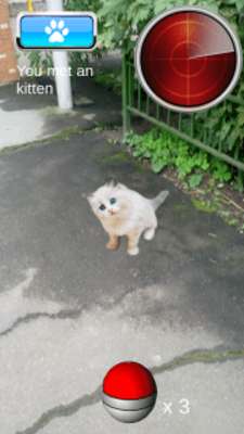 Play Pocket Kitten GO 