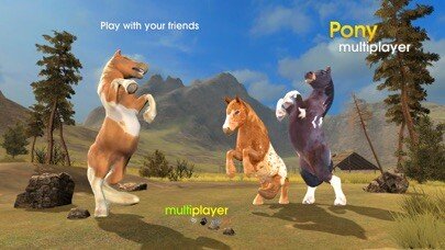 Play Pony Multiplayer 