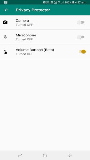 Play Privacy Protector 