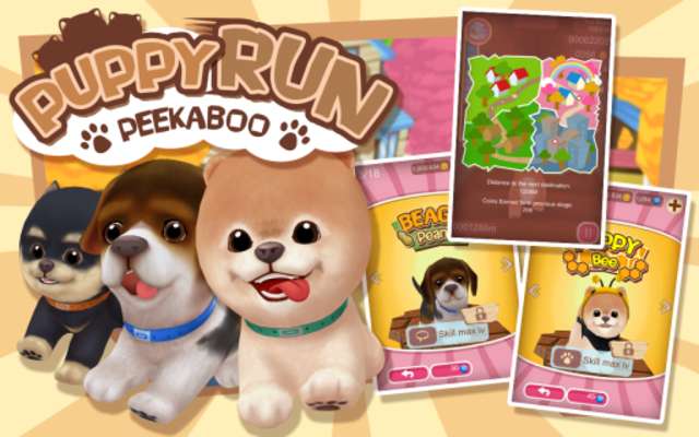 Play Puppy Run: Peeka Boo 