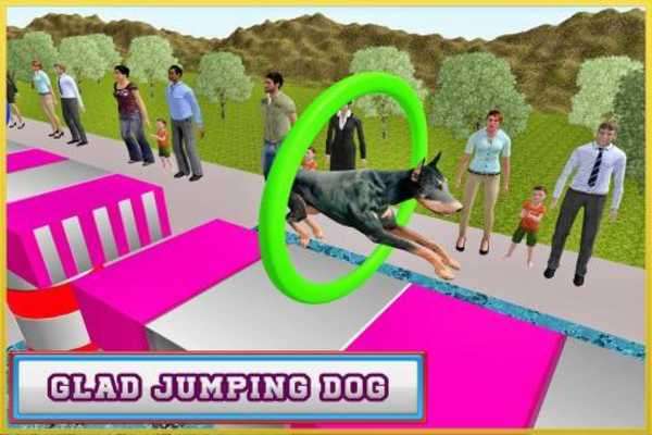 Play Real Dog Stunt & Jump Derby 3D 