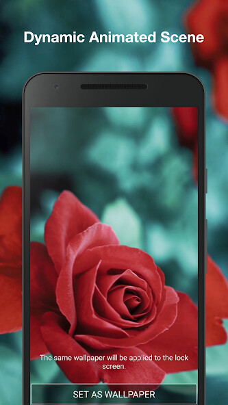 Play Red Rose Live Wallpaper 