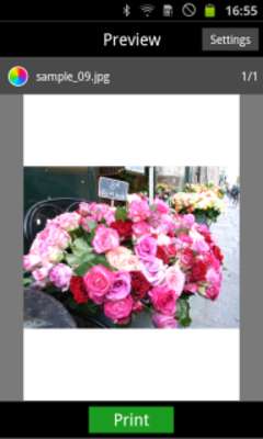 Play RICOH Smart Device Print&Scan 