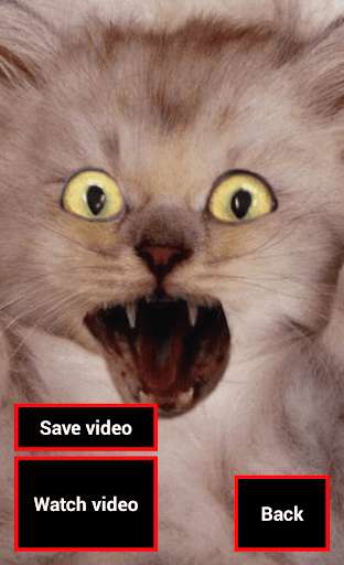 Play Scary Pranks : Scare your friends. Play Scary Pranks : Scare your friends.
