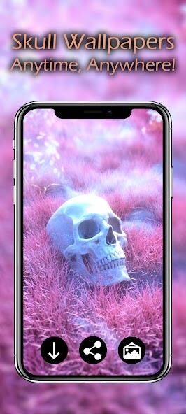 Play Skull Wallpapers 