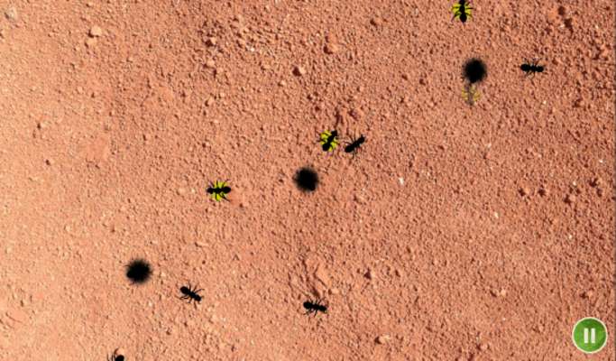 Play Smash these Ants Play Smash these Ants