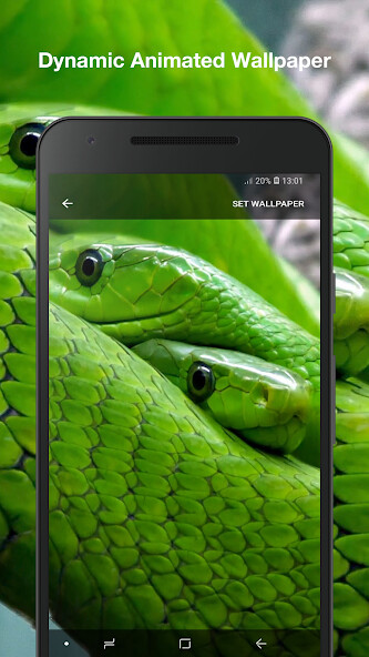 Play Snake Live Wallpaper 