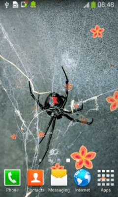 Play Spider Live Wallpapers Play Spider Live Wallpapers