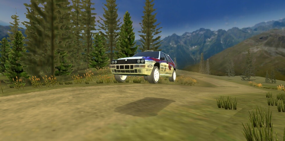 Play Super Rally 3D 